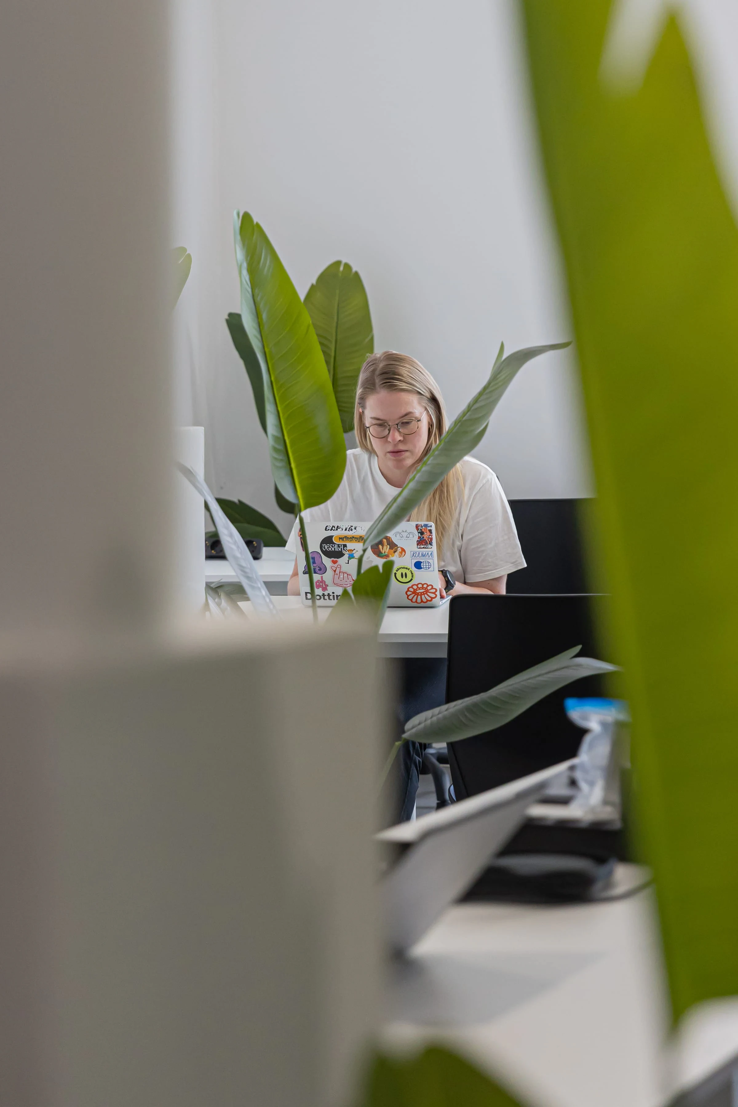 Quiet desk space surrounded by plants